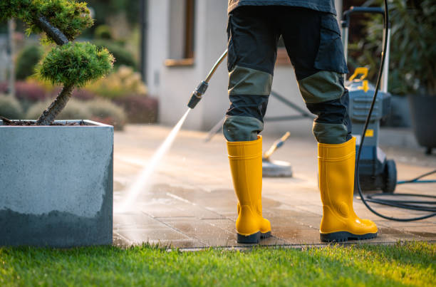Best Roof Power Washing Services  in Day Heights, OH